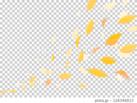 紅葉した葉が舞う背景素材 126348013