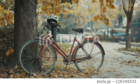 紅葉の木の下に置かれた自転車 126348331