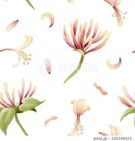 Watercolor honeysuckle flowers and petals watercolor seamless pattern on white. Pastel yellow and pink garden blooming vine plant for spring and summer floral nature designs Watercolor honeysuckle flowers and petals watercolor seamless pattern on white. Pastel yellow and pink garden blooming vine plant for spring and summer floral nature designs 126348425