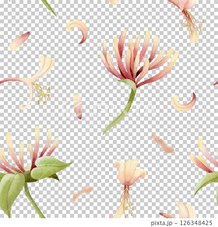 Watercolor honeysuckle flowers and petals watercolor seamless pattern on white. Pastel yellow and pink garden blooming vine plant for spring and summer floral nature designs 126348425