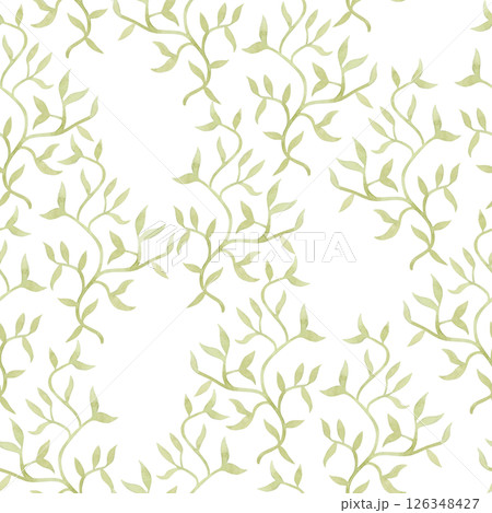 Pastel green liana vine watercolor seamless pattern on white in simple flat style. Floral background with creeper. Minimalist garden climbing plant with leaves spring clip art Pastel green liana vine watercolor seamless pattern on white in simple flat style. Floral background with creeper. Minimalist garden climbing plant with leaves spring clip art 126348427