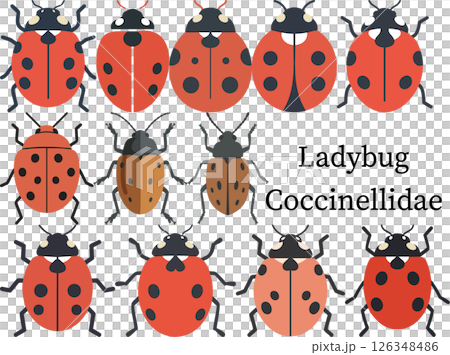 Assorted Ladybugs Cartoon Vector Set 126348486