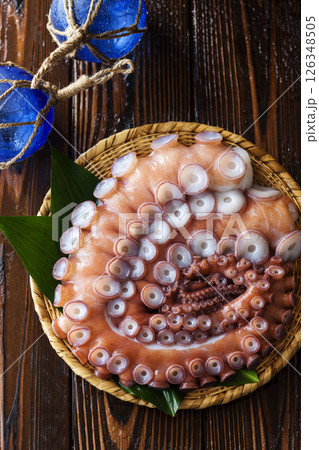 水蛸 / みずだこ 126348505