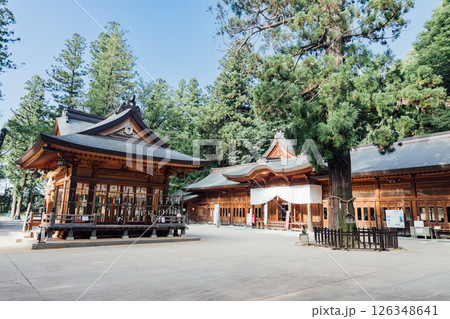 <安曇野>穗髙神社 本宮 神楽殿と拝殿 <安曇野>穗髙神社 本宮 神楽殿と拝殿 126348641
