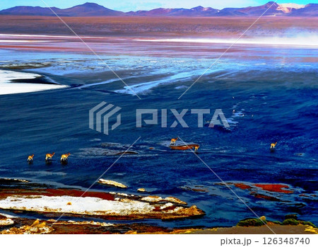 Bolivia Lake Laguna Colorada 126348740