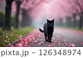 桜の花びらが舞う春の公園を散歩する黒色の黒猫 126348974