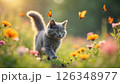 春の花と猫 126348977
