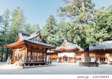 ＜安曇野＞穗髙神社　本宮　神楽殿と拝殿 126349044