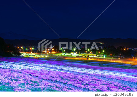 高速道路の照明に浮かぶ芝桜 126349198