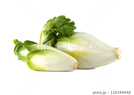 Fresh and vibrant Belgian endive, showing off its crisp white and green leaves against white. Fresh and vibrant Belgian endive, showing off its crisp white and green leaves against white. 126349448