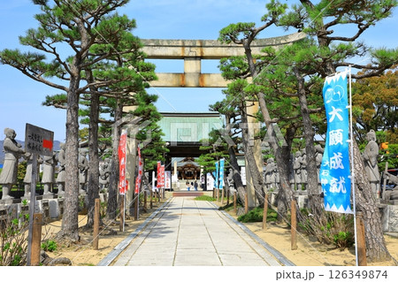 春の赤穂大石神社 126349874