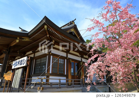 春の赤穂大石神社 126349879