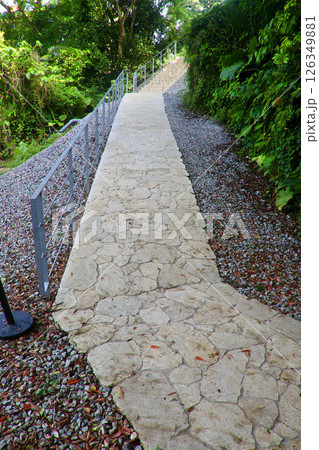 CAVE OKINAWA・琉球石灰岩の遊歩道(沖縄県・うるま市) CAVE OKINAWA・琉球石灰岩の遊歩道(沖縄県・うるま市) 126349881