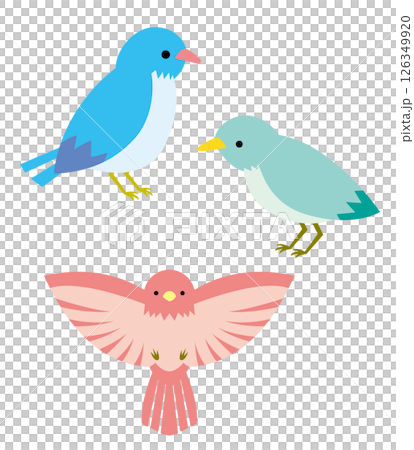An illustration of three colorful little birds 126349920