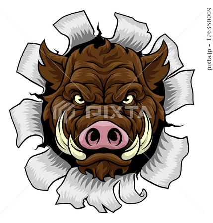 Boar Wild Hog Razorback Warthog Pig Sports Mascot Boar Wild Hog Razorback Warthog Pig Sports Mascot 126350009
