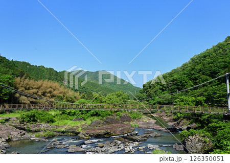 川代公園 吊り橋 青空 川代公園 吊り橋 青空 126350051