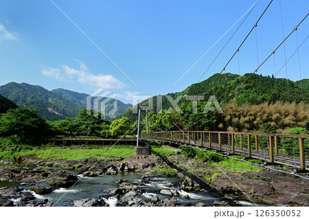 川代公園　吊り橋 126350052