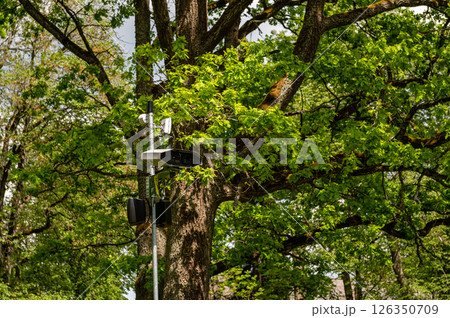 Monitoring equipment under a leafy tree in a public park during springtime 126350709