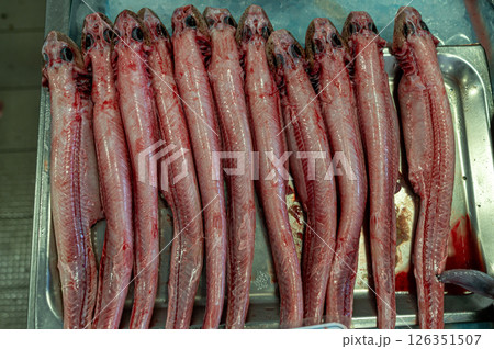 Long fish cleaned and arranged on a metal tray at a fish market for sale. Long fish cleaned and arranged on a metal tray at a fish market for sale. 126351507