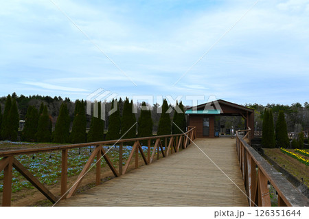 山中湖 花の都公園の景色 山中湖 花の都公園の景色 126351644