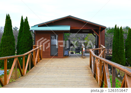 山中湖 花の都公園の景色 山中湖 花の都公園の景色 126351647