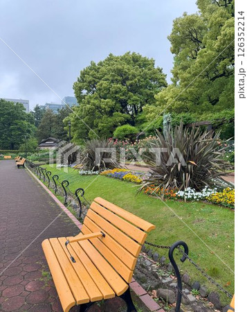 日比谷公園内の芝生と木の長椅子 126352214