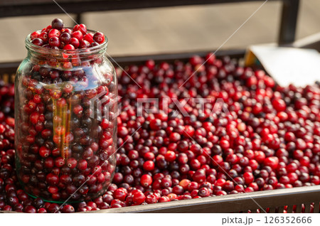 A variety of vibrant cranberries fills a basket, with a glass jar showcasing more. A variety of vibrant cranberries fills a basket, with a glass jar showcasing more. 126352666