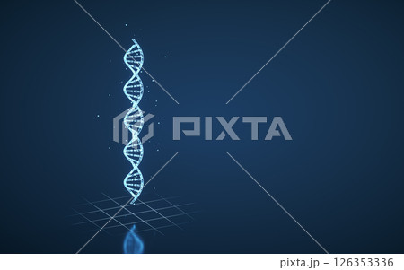 立体 3次元 3D 126353336