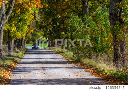 A car drives along a tree-lined dirt road surrounded by colorful autumn foliage 126354245