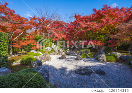 京都 将軍塚青龍殿 枯山水庭園と紅葉 京都 将軍塚青龍殿 枯山水庭園と紅葉 126354316