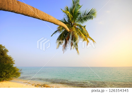 Photos of Maldives Beach Photos of Maldives Beach 126354345