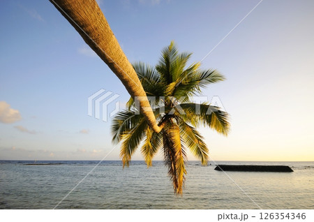 Photos of Maldives Beach 126354346