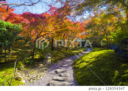 京都 将軍塚青龍殿の紅葉 京都 将軍塚青龍殿の紅葉 126354347