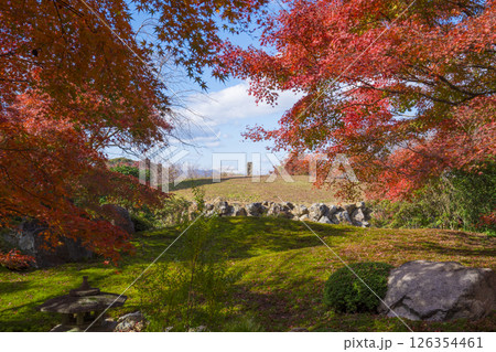 京都 将軍塚の紅葉 京都 将軍塚の紅葉 126354461