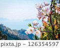 桜と自然風景 126354597
