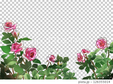 Rose frame, light pink 126355014