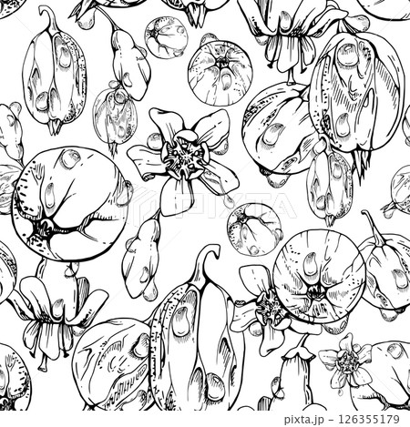 Gooseberry Currant garden berries, flowers scattered in water dew drops hand drawn in vector ink. Seamless isolated pattern. Home preserves, textile tiles, food store decor, recipe book, cafe menu 126355179