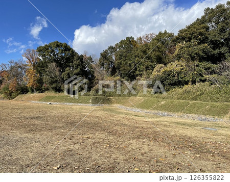 高槻市の今城塚古墳 126355822