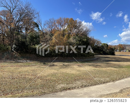 高槻市の今城塚古墳 126355823