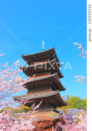 愛知県名古屋市、満開の桜と八事山興正寺五重塔の風景 126356318