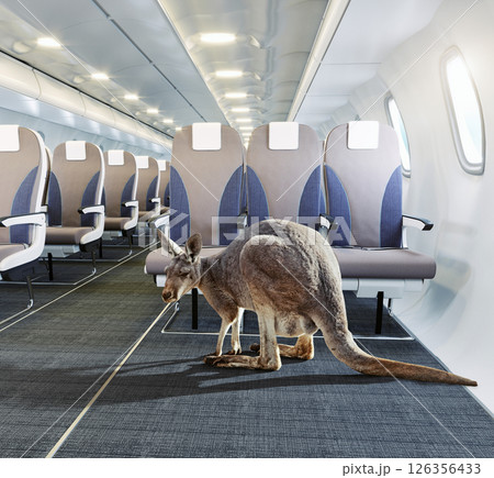 Kangaroo in airplane aisle 126356433