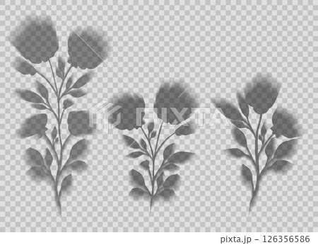 Vector set of transparent blurred shadow flowers. Collection of flower silhouettes Vector set of transparent blurred shadow flowers. Collection of flower silhouettes 126356586