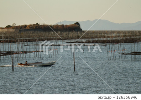 大牟田市 有明海 海苔畑、 大牟田市 有明海 海苔畑、 126356946