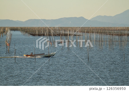 大牟田市 有明海 海苔畑、 大牟田市 有明海 海苔畑、 126356950