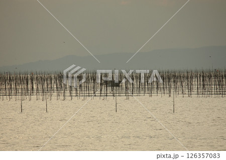 大牟田市 有明海 海苔畑、 大牟田市 有明海 海苔畑、 126357083