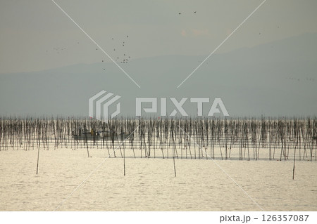 大牟田市　有明海　海苔畑、 126357087