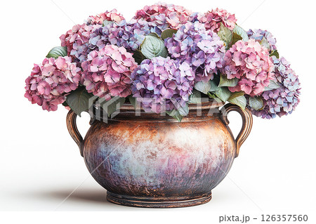 Ceramic vase in antique style with big Hydrangea bush grows on a white background. 126357560