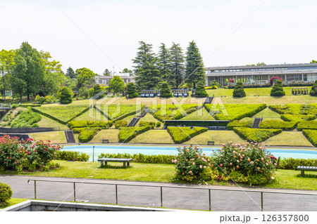 はままつフラワーパーク(5月) はままつフラワーパーク(5月) 126357800