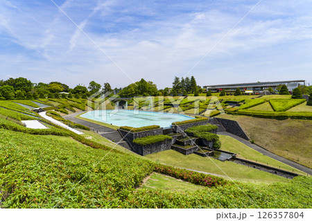 はままつフラワーパーク（5月） 126357804