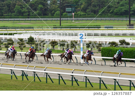 春の新潟競馬場 ダート競走 春の新潟競馬場 ダート競走 126357887